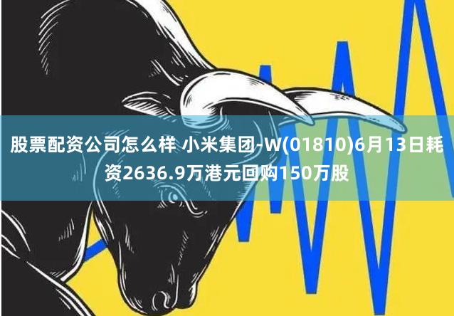 股票配资公司怎么样 小米集团-W(01810)6月13日耗资2636.9万港元回购150万股