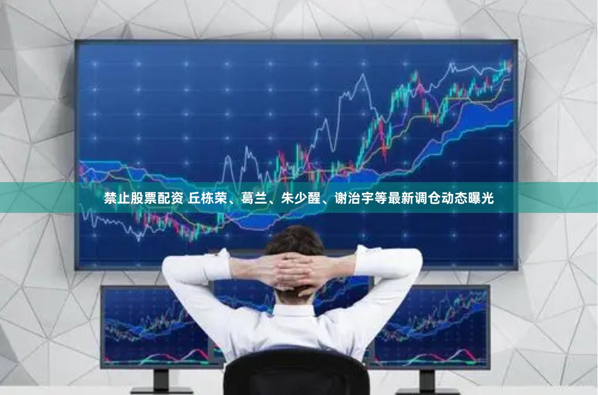 禁止股票配资 丘栋荣、葛兰、朱少醒、谢治宇等最新调仓动态曝光